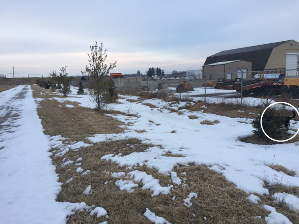 7cb76325-9d0b-4f41-95a4-50a6490d5b58