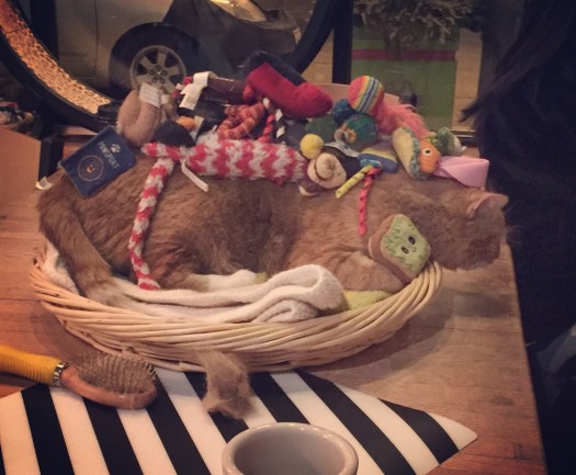 CBCDC747-C9EB-416E-BEC1-AEFC40C16BA4