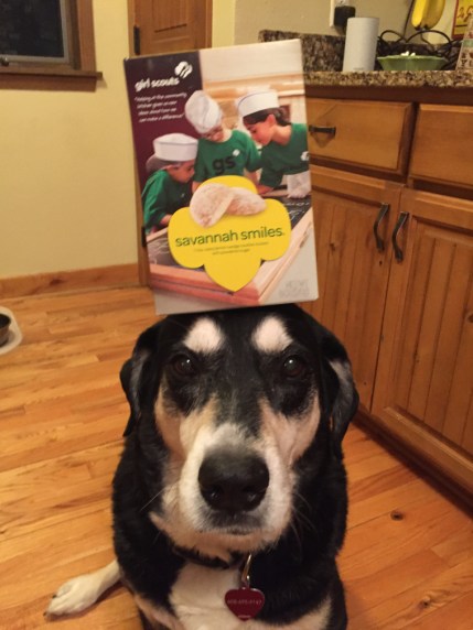 Girl Scout Cookie Dog