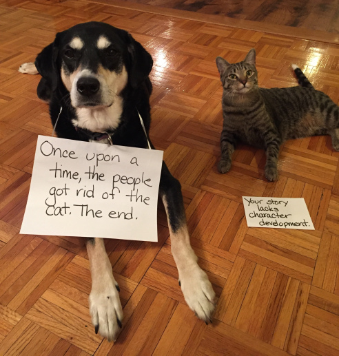 Storytelling Dog and Cat