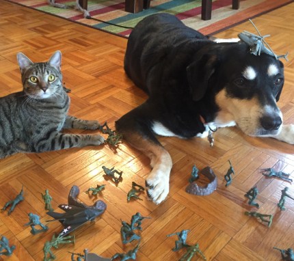 Toy Soldier Cat and Dog