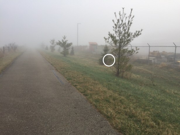 012a27ec-fd9a-45b2-b857-db08cedc626c