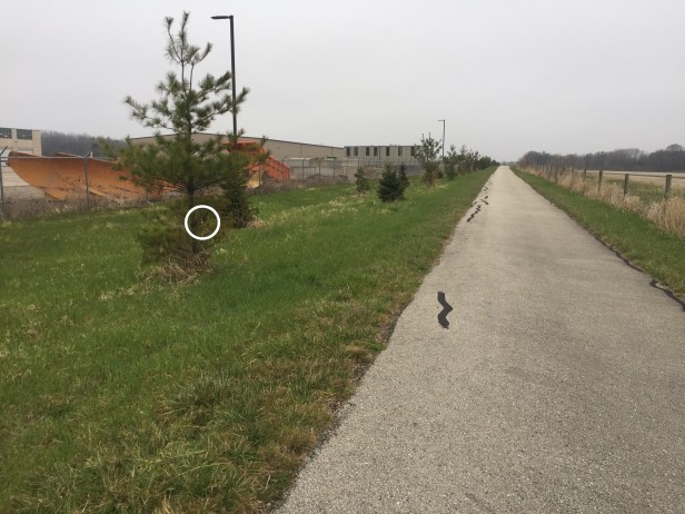 3def6675-5de5-43b7-857b-7d3213790788