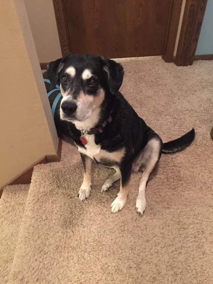 60738583241__9FCA6712-2146-466B-818D-68787E7CFBB0