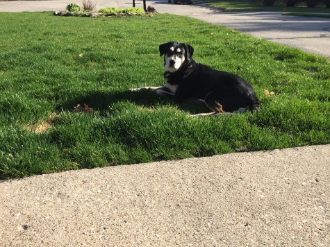 60781669559__2BD9557F-36CC-47CD-9D21-46E0AD2B26DA