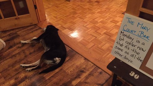 6E2A9CE1-070F-49DA-BD99-C07889DC3073