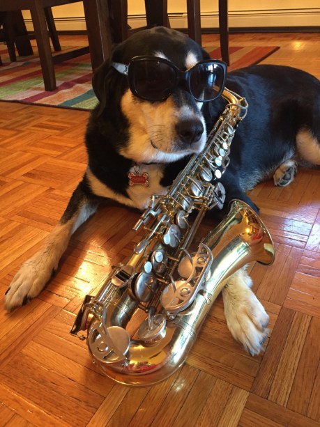 Jazz Dog