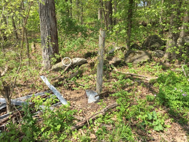 0e8c5c7f-c702-467d-8ccc-da91b1e0759f