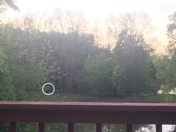 0c70b7cd-e756-4a80-8d70-c2d210cb82af