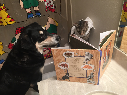 Bathroom Dog and Cat