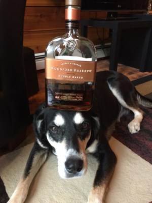 Bourbon Dog