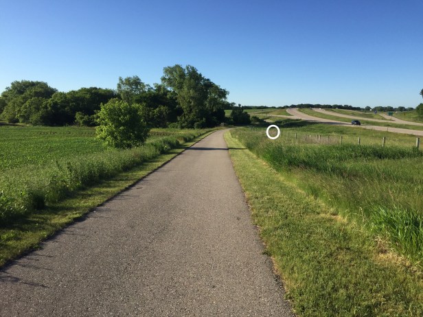 ed785d9e-8152-4bba-88a7-efc2f52194cb