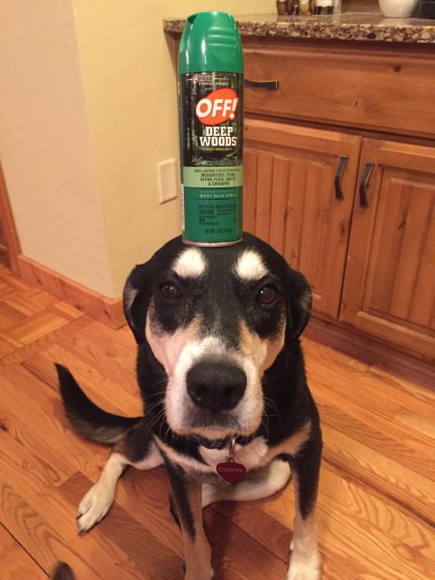 Insect Repellent Dog