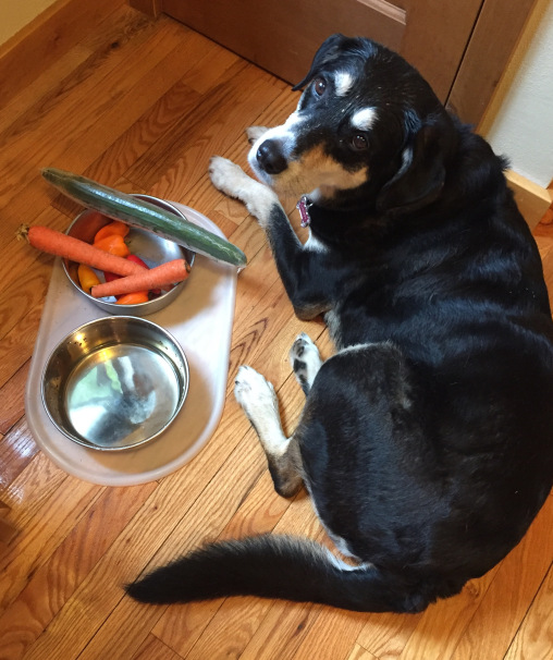 Vegetable Dog