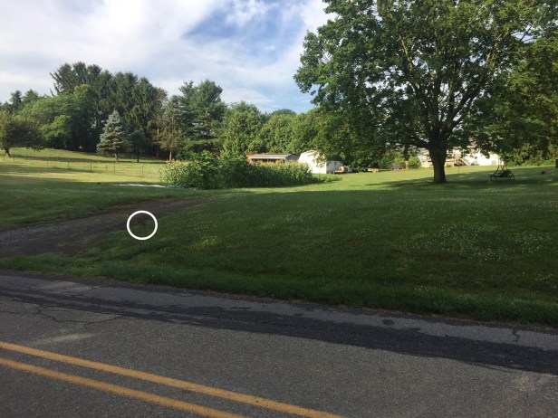 ca4797b4-16d4-4760-a783-13189e730b49