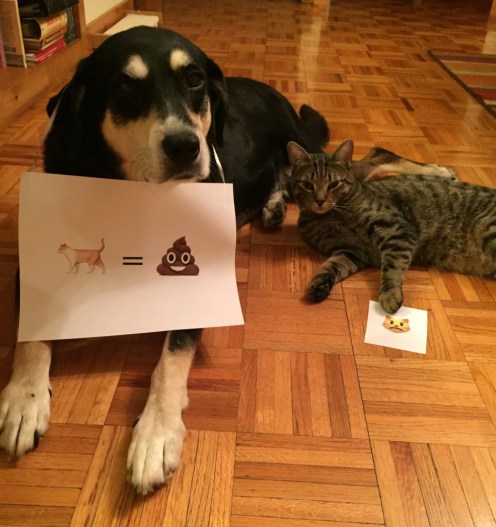 Emoji Cat and Dog