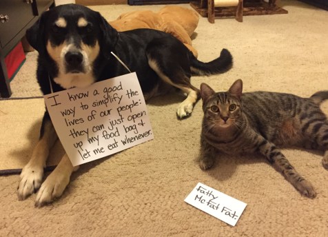 Simplicity Cat and Dog