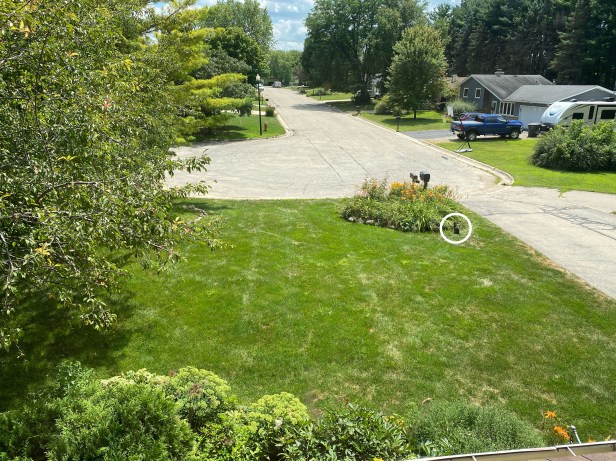 34361909-83ae-44ea-8ac8-7eae93060f06