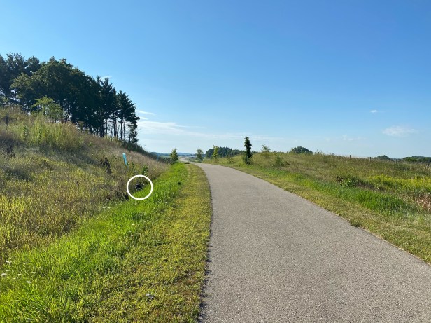 5e7d2978-55a5-4679-b36e-65a37e6f66d6