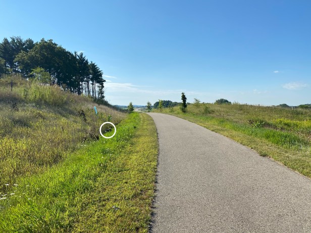 62f1ce21-4ecc-45a1-a19d-80ebf759bc70