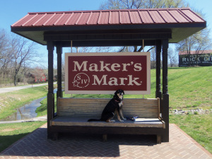 Dog at Makers Mark