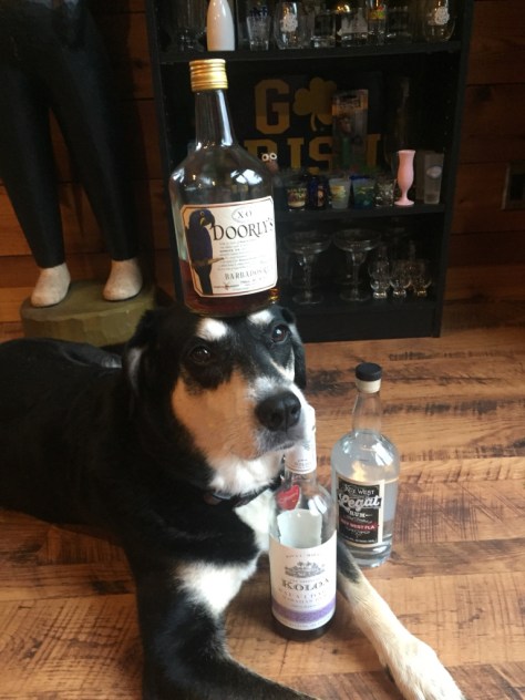 Rum Dog
